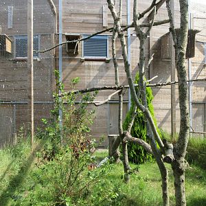 Bird of Prey Complex - Snowy Owl Exhibit