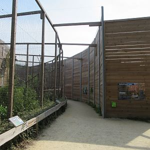 Bird of Prey Complex - huge walls towards bird show location