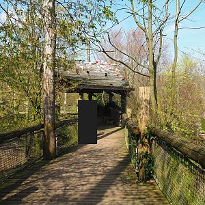 Puna aviary, 2019-03-30