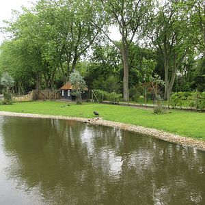 Bennett's Wallaby Exhibit