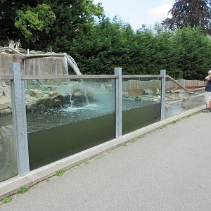 Small-clawed Otter + Coypu Exhibits