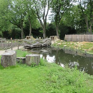 Walk-through Prairie Dog Exhibit
