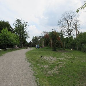 Walk-through Fallow Deer Exhibit