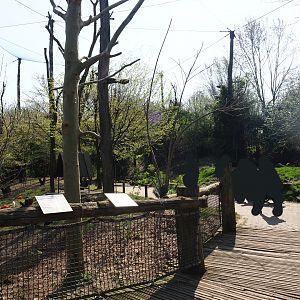 Puna aviary, 2019-03-30