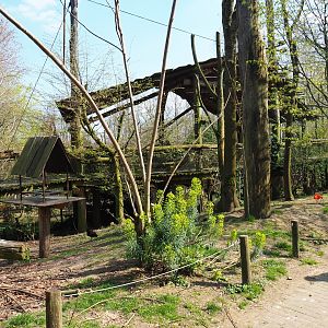 Puna aviary, 2019-03-30