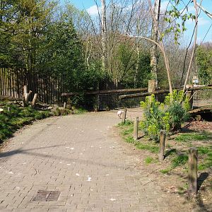 Puna aviary, 2019-03-30