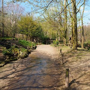 Puna aviary, 2019-03-30