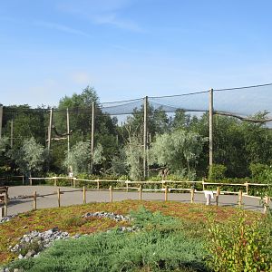Steller's Sea Eagle Aviary (huge!)