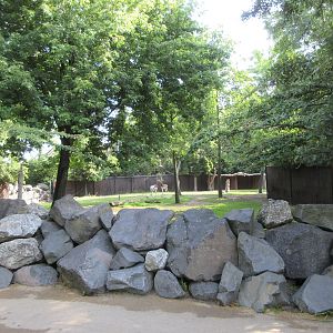 Mhorr Gazelle - visitor barrier