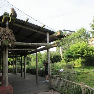 African Birds Aviary
