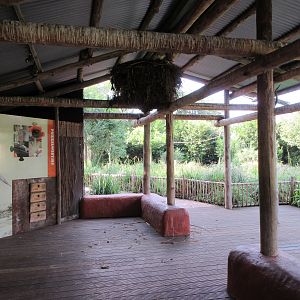African Birds Aviary