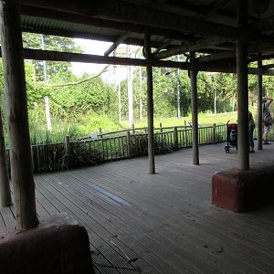 African Birds Aviary