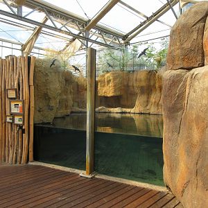 Slender-snouted Crocodile Exhibit