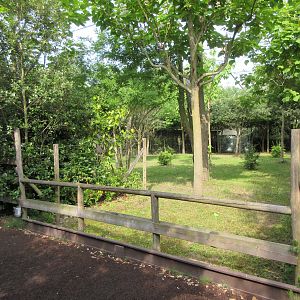 Okapi Exhibit #2 - minimal barrier