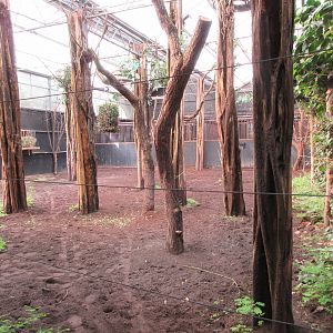 Okapi Indoor Exhibit