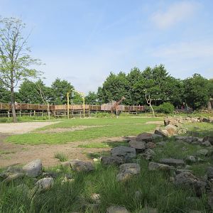 Giraffe/Greater Kudu Exhibit