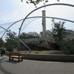 Gelada Exhibit (New in late 2018)