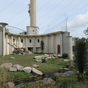 Gelada Exhibit (New in late 2018)