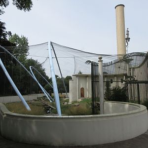 Gelada Exhibit (New in late 2018)