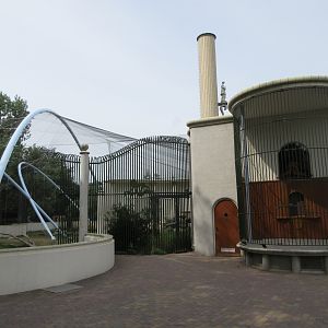 Gelada Exhibit (New in late 2018)