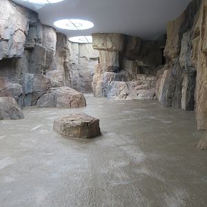 Gelada Exhibit (New in late 2018)