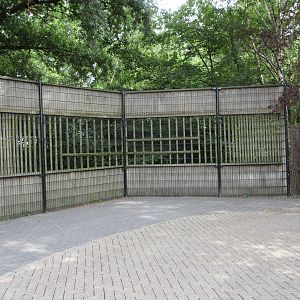 Grey Wolf Exhibit - now closed