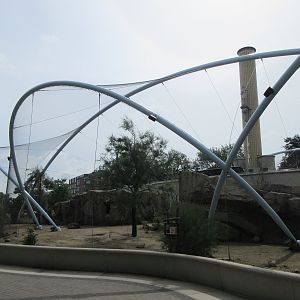 Gelada Exhibit (New in late 2018)