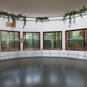 Gorilla Exhibit - indoor quarters