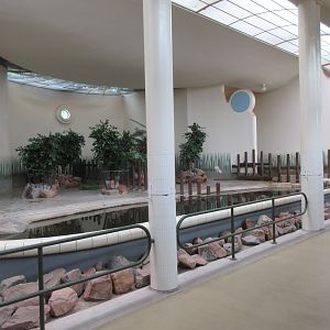 Pygmy Hippo Exhibit - indoor quarters