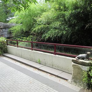 Former Otter Pool? (now just a few ducks)