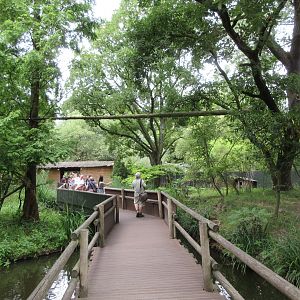Red Panda/Western Tufted Deer Exhibit