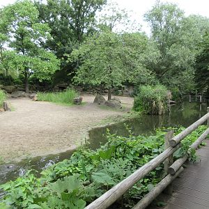 Greater One-horned Rhino Exhibit