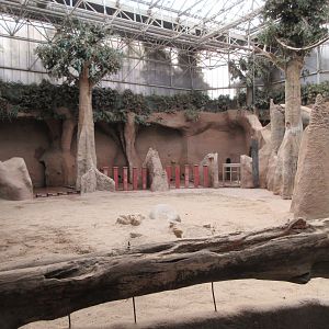 Asian Elephant Barn