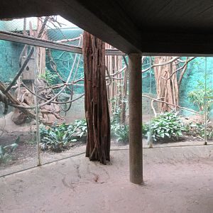 Asian Elephant Barn - Wreathed Hornbill Exhibit
