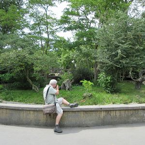 Zoo Nerd + Yellow Mongoose Exhibit - minimal barrier