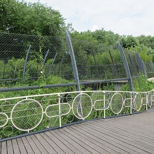 Sumatran Tiger Exhibit - notice ornate fence