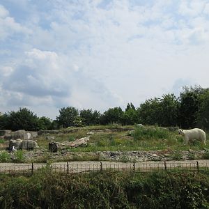 Polar Bear Exhibit (there are two in total)