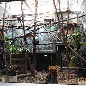 Mongoose Lemur Enclosure