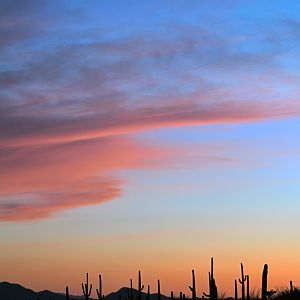 view from grounds at sunset