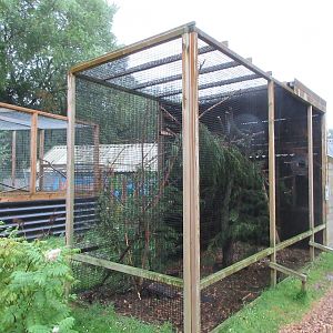 Hudson Squirrel Exhibit