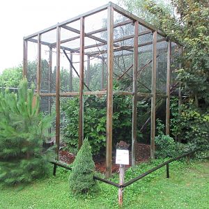 Prevost's Squirrel Exhibit