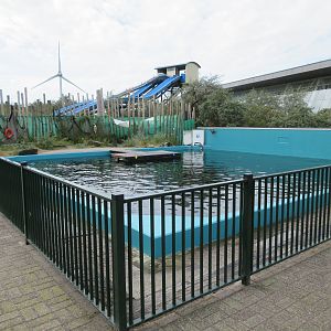 Harbour Seal Exhibit - low fence barrier