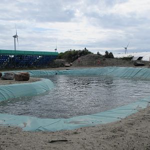 California Sea Lion Exhibit (looks home-made!)