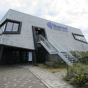 Blue Reef Aquarium