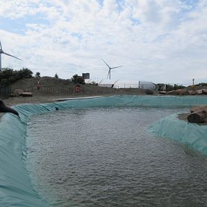 California Sea Lion Exhibit (looks home-made!)
