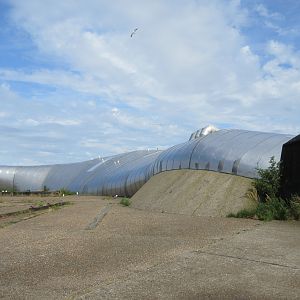 Whale Museum (like a beached whale)