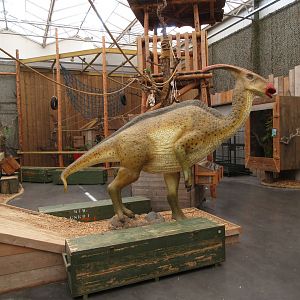 Dinosaur Room