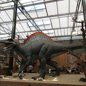 Dinosaur Room