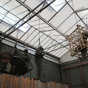 Dinosaur Room - Trapped Dinos