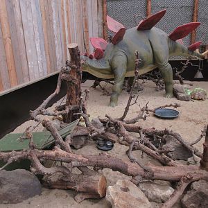 Dinosaur Room
